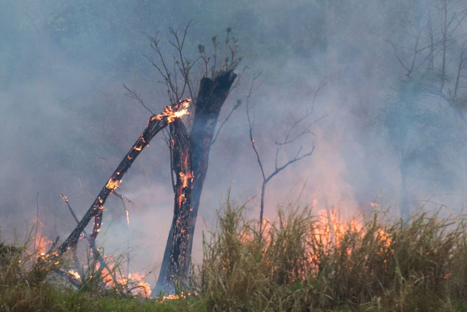 População deve adotar medidas de autoproteção em casos de incêndio, diz secretário nacional de Defesa Civil à CNN