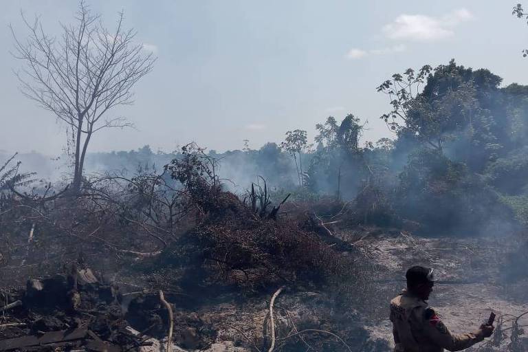 Pará decreta situação de emergência e proíbe queimadas – 28/08/2024 – Ambiente