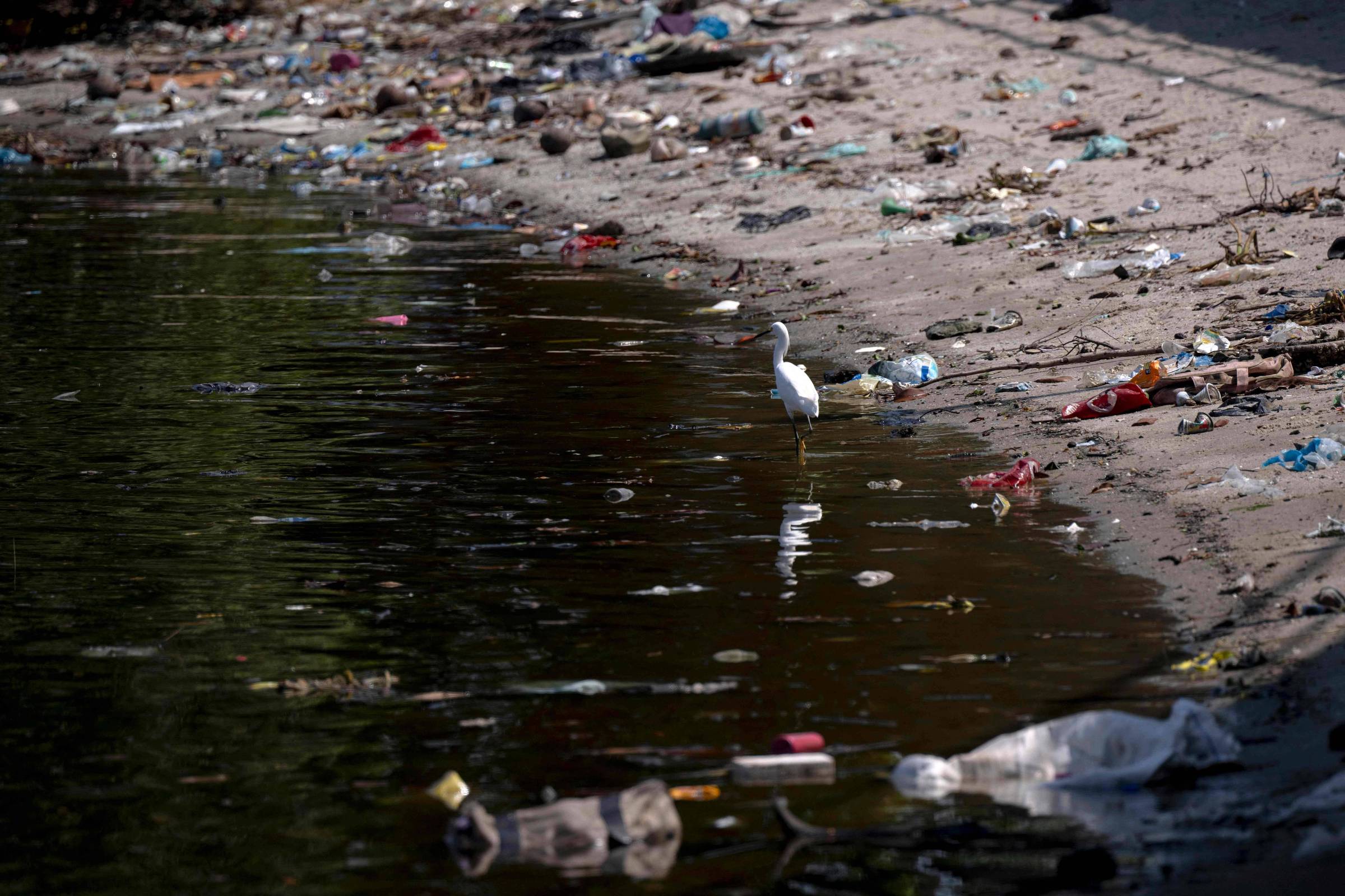 91% do lixo achado em estudo em praias do país é plástico – 18/09/2024 – Ambiente