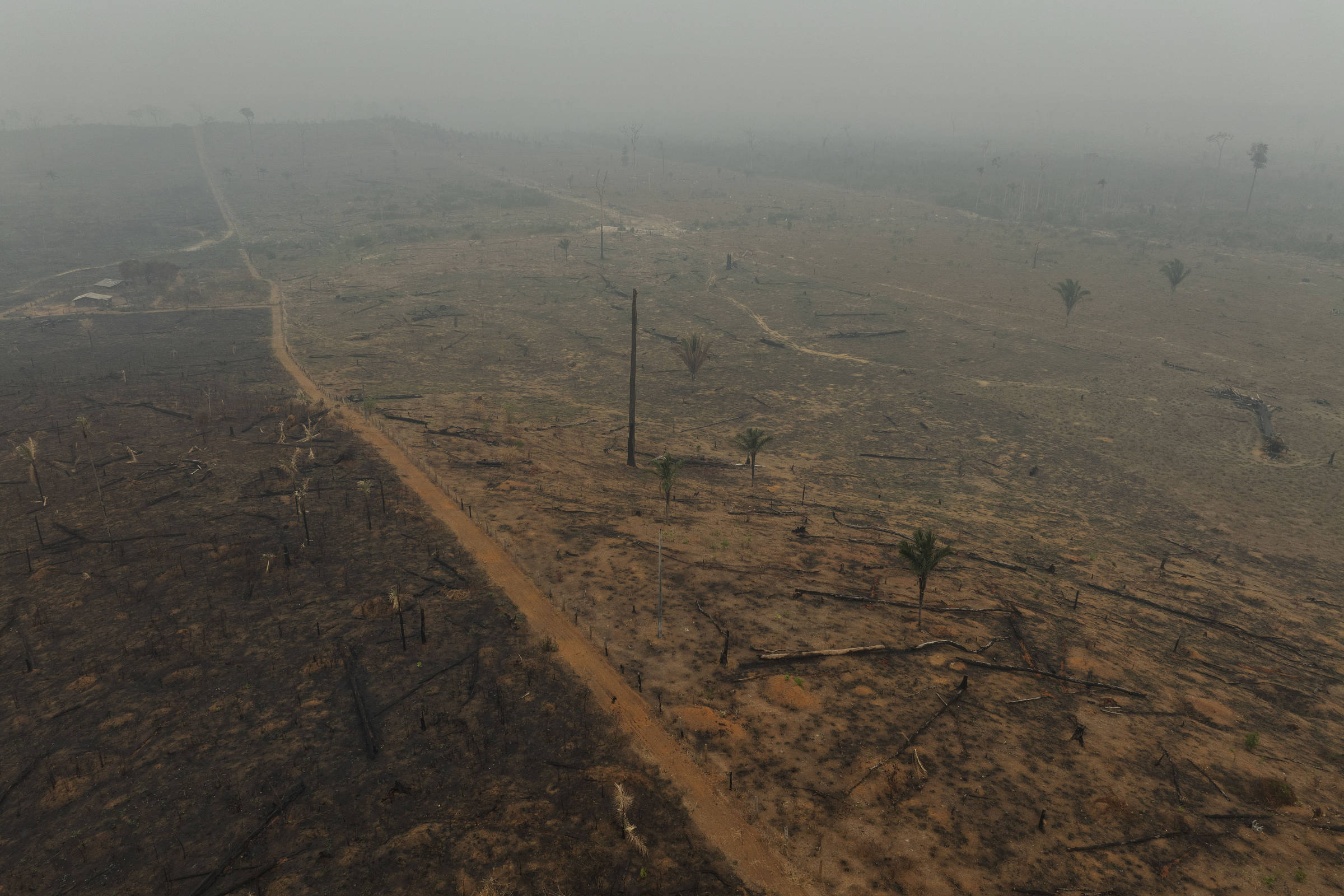 Amazônia continua verde na seca mesmo com perda hídrica – 06/09/2024 – Ambiente