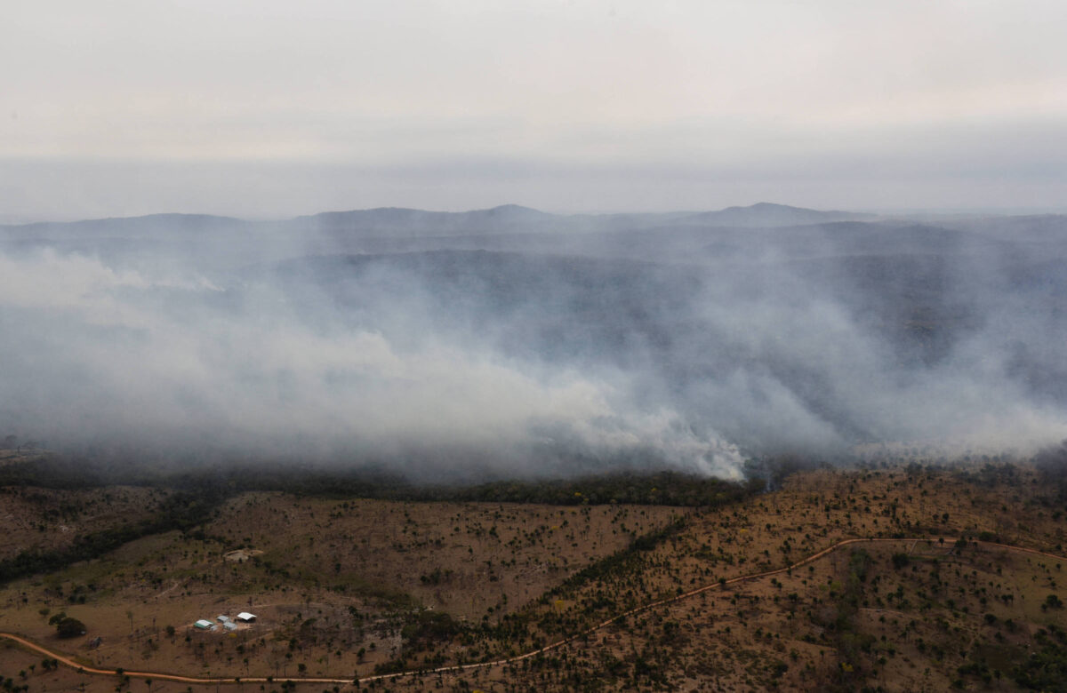 América do Sul tem recorde de incêndios em 26 anos - 12/09/2024 - Ambiente