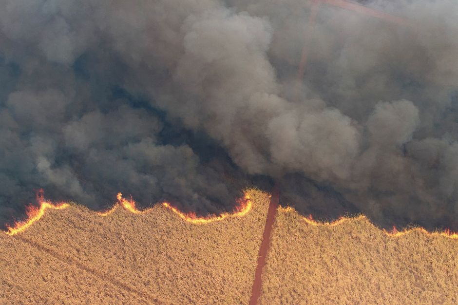 Américo: Comunidade internacional se preocupa com questões climáticas no Brasil