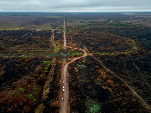 CEO da Onçafari à CNN: Recuperação da fauna do Pantanal depende das cheias