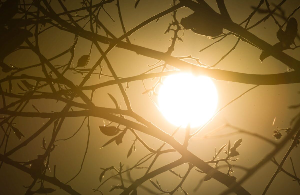 Calorão: 5 capitais devem bater recordes de temperatura nesta semana