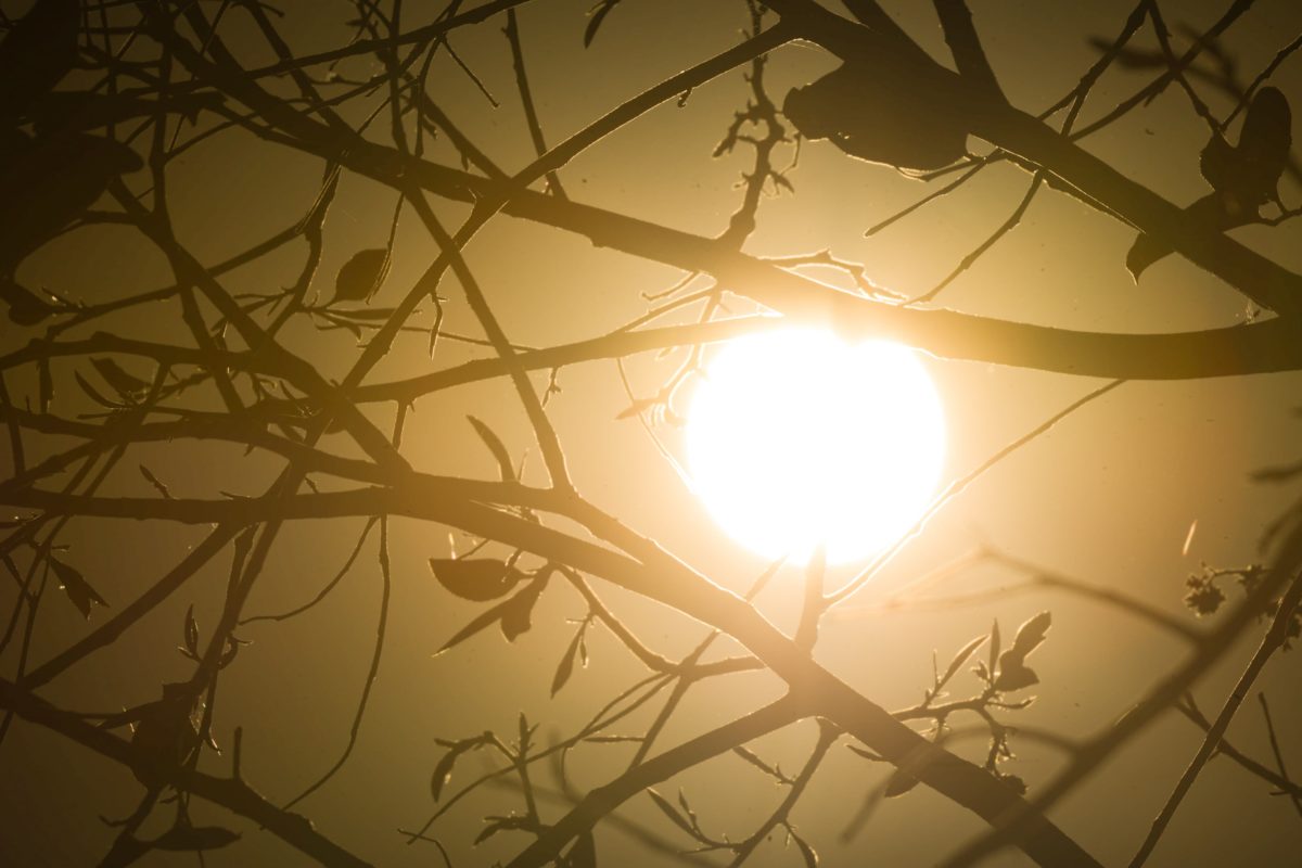 Calorão: 5 capitais devem bater recordes de temperatura nesta semana