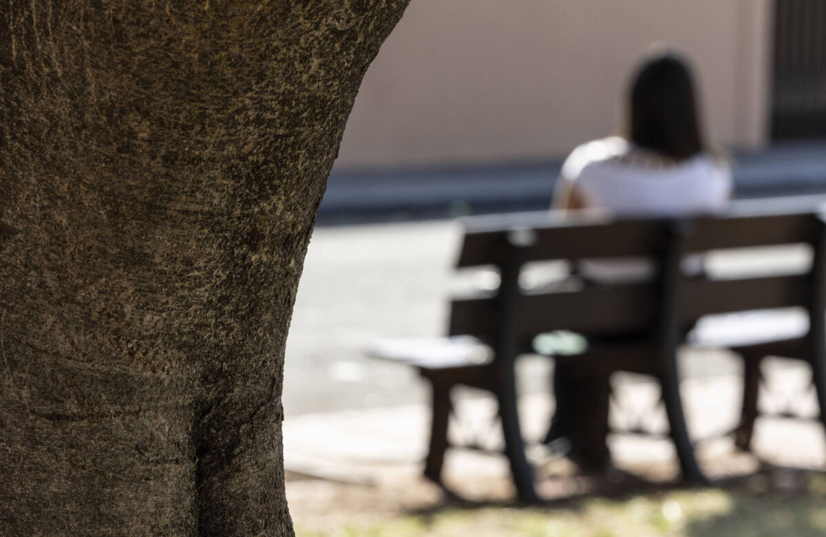 A imagem mostra uma pessoa sentada em um banco de praça, vista de trás. A pessoa está vestindo uma camiseta branca e está em um ambiente ao ar livre, com um tronco de árvore em primeiro plano. O fundo é desfocado, mas é possível ver uma calçada e uma parede ao fundo.