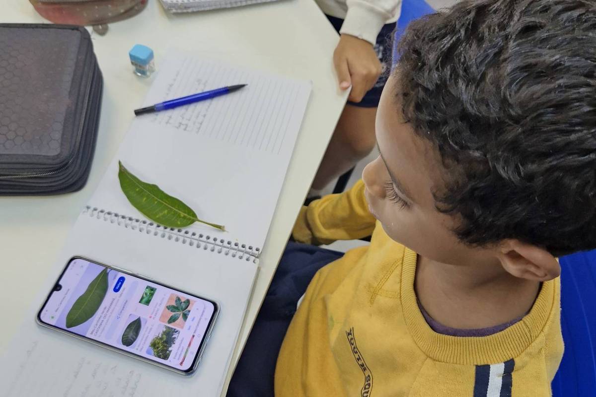 Celular nas escolas: uso em aula é possível apesar de veto – 27/09/2024 – Educação