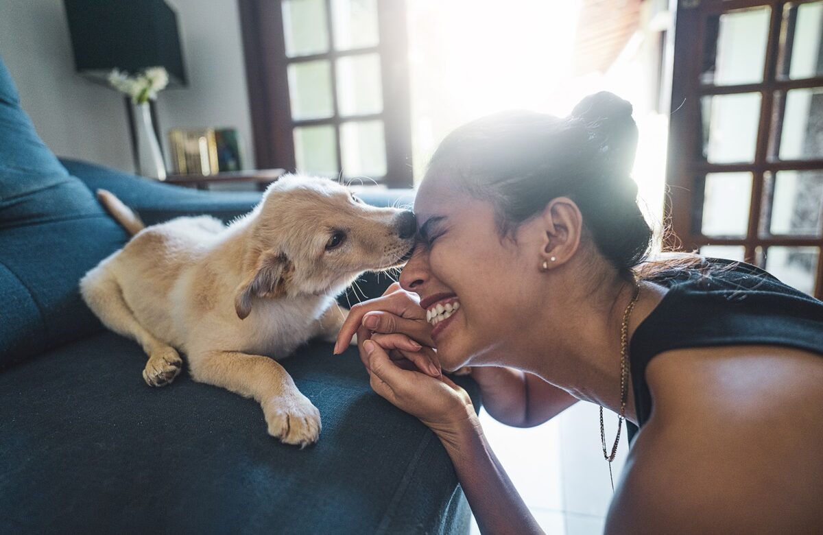 De perto, uma jovem e um cachorrinho estão se divertindo abraçados