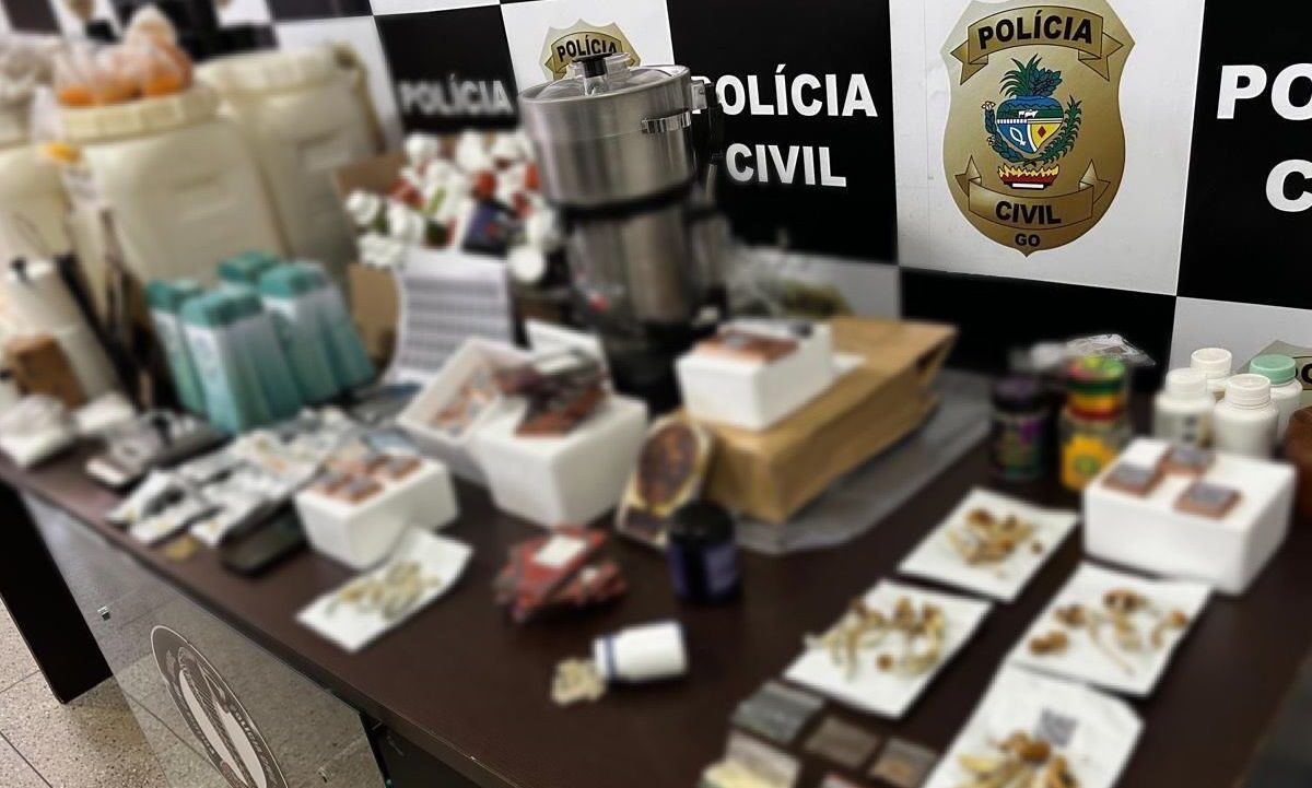 “Cogumelos mágicos“: laboratório de alucinógenos é encontrado em escritório de advocacia