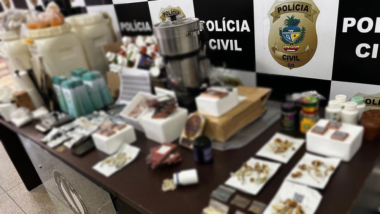 “Cogumelos mágicos“: laboratório de alucinógenos é encontrado em escritório de advocacia