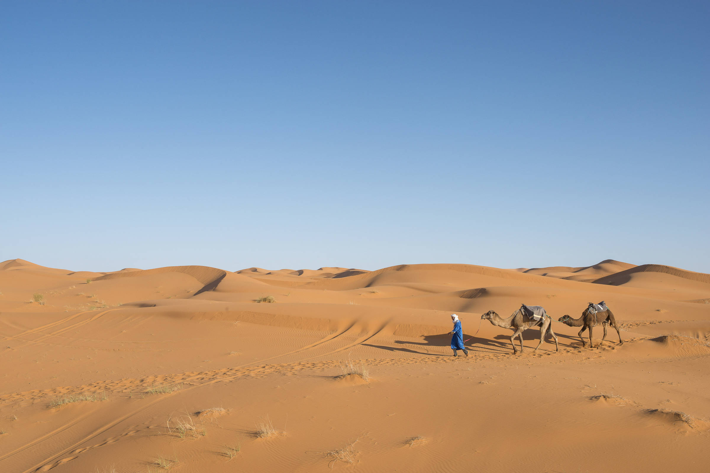 Como é passar uma noite no deserto do Saara, no Marrocos – 04/09/2024 – Turismo