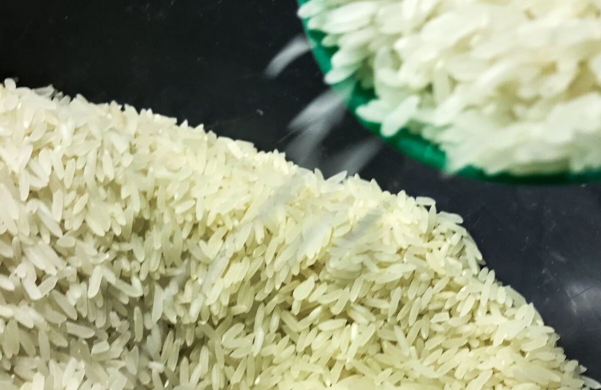 Conab vai doar sementes de arroz para agricultores familiares do RS