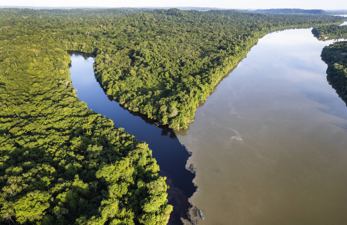 Créditos de carbono: o que são e como funcionam - 01/09/2024 - Ambiente