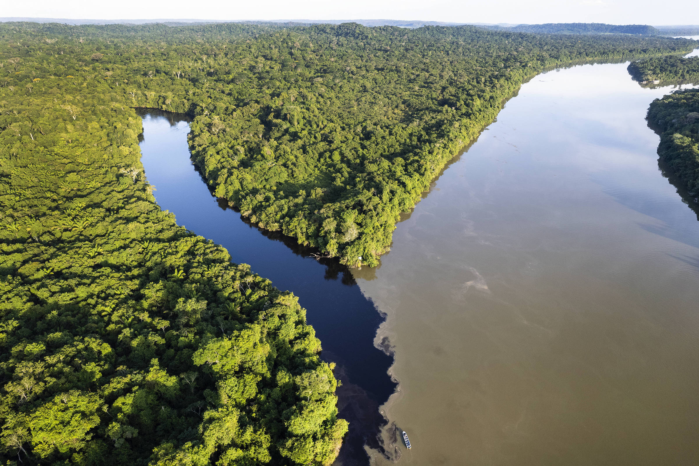 Créditos de carbono: o que são e como funcionam – 01/09/2024 – Ambiente