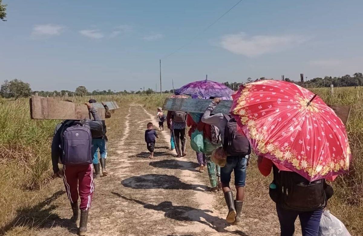 Dia da Amazônia: 9 em cada 10 terras indígenas sofrem seca - 05/09/2024 - Cotidiano