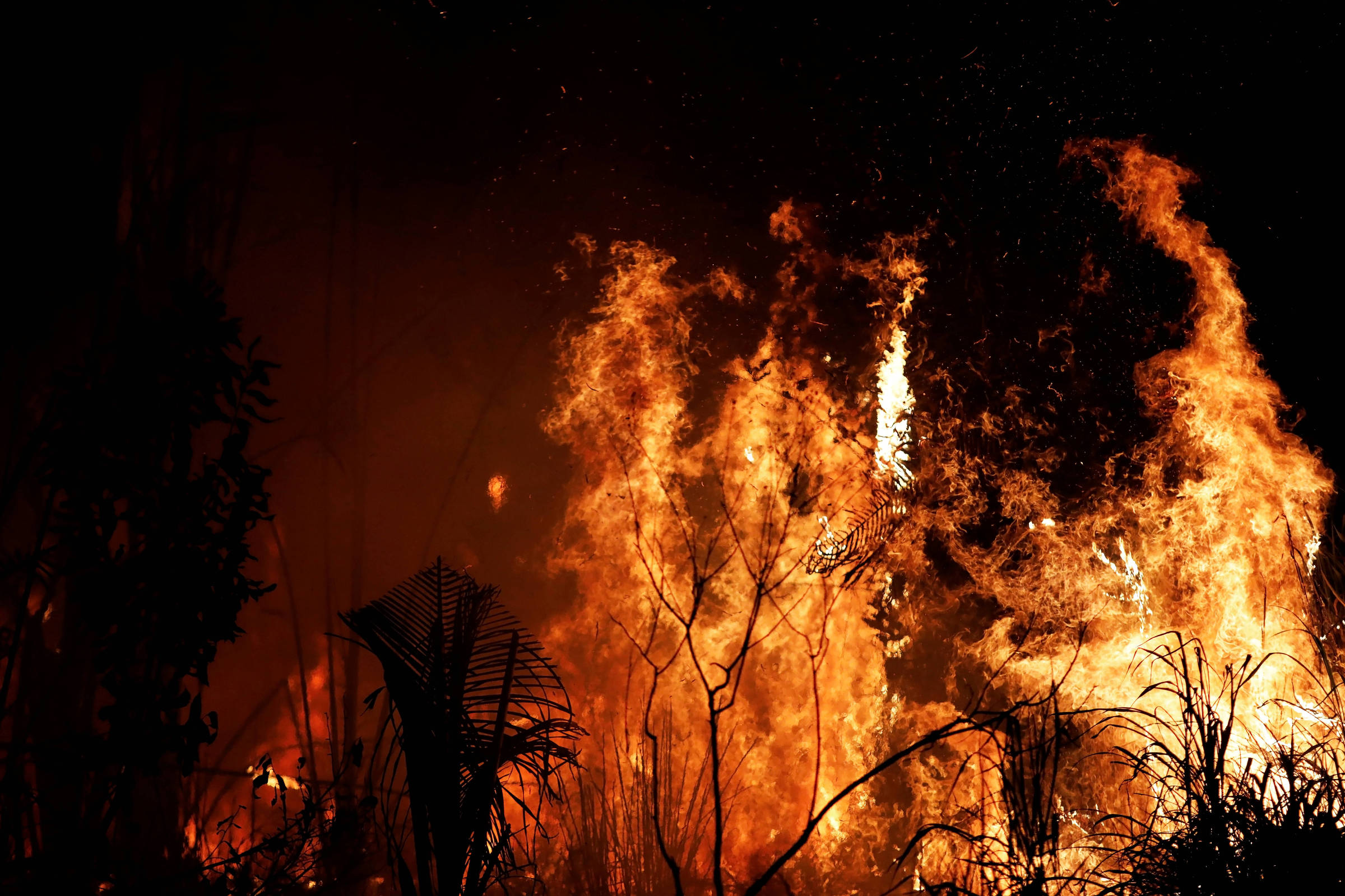 Dia do fogo fica impune e fazendas seguiram com incêndios – 02/09/2024 – Ambiente