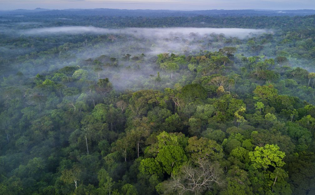 Empresários e economistas assinam pacto pela natureza para enfrentar mudanças climáticas