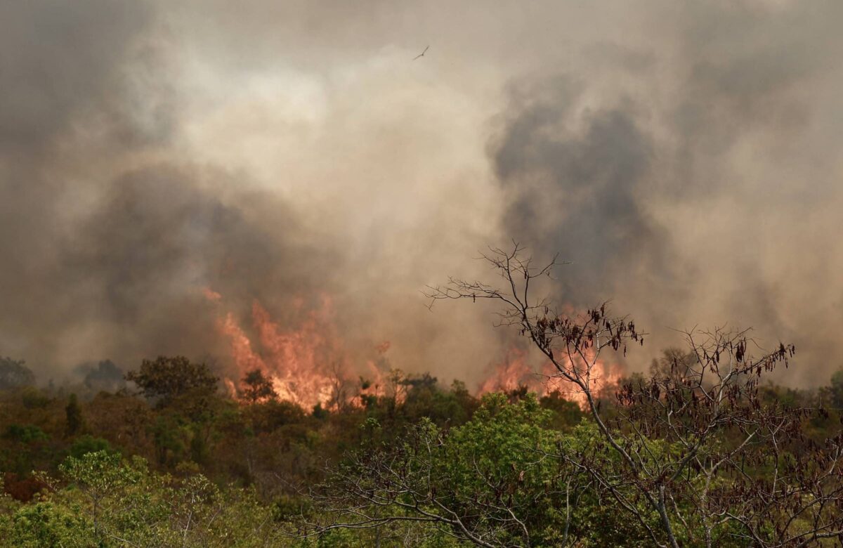 Especialistas pedem penas mais severas para queimadas – 20/09/2024 – Ambiente