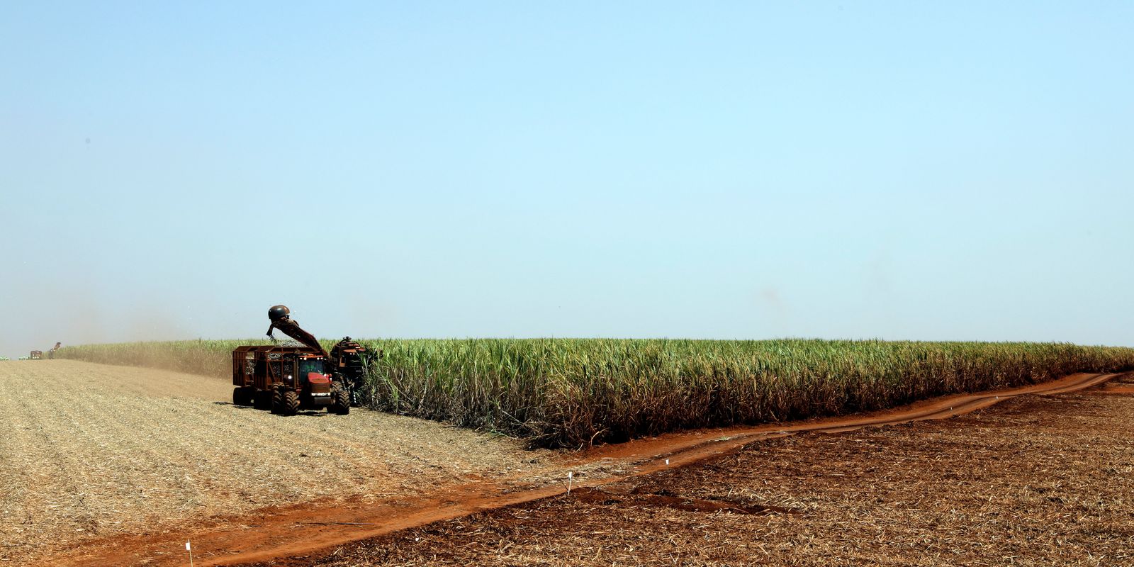 Estudo indica bioinsumo como solução sustentável na produção alimentar