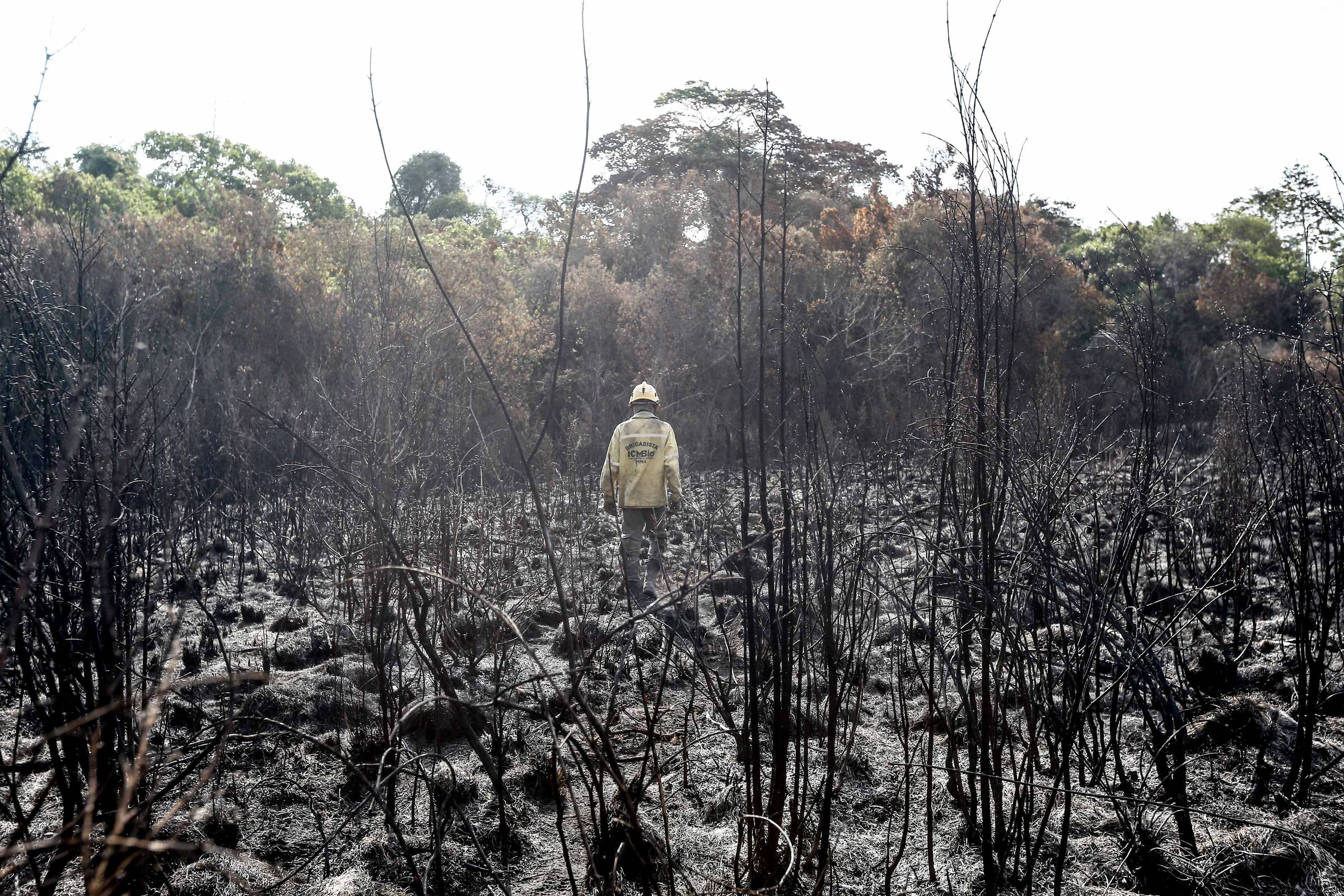 Fogo cresceu em velocidade maior que resposta de governos – 29/09/2024 – Ambiente