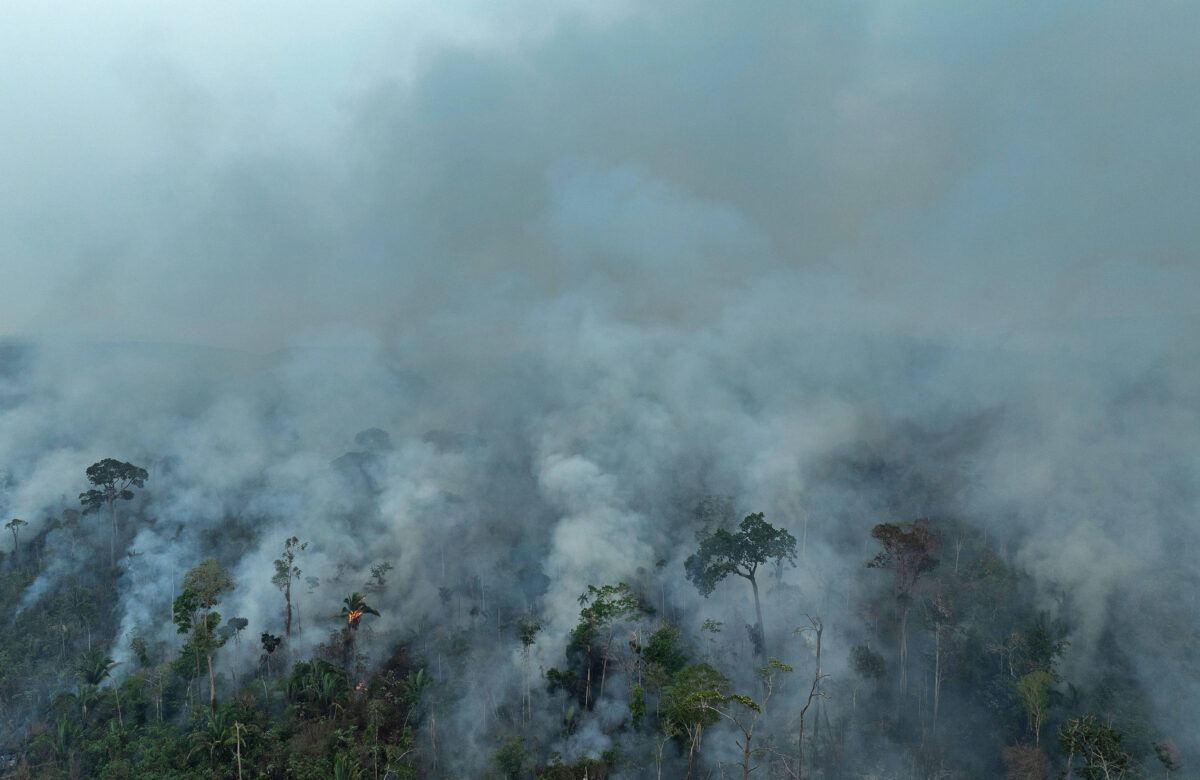 Fumaça subindo de árvores queimando vista de drone