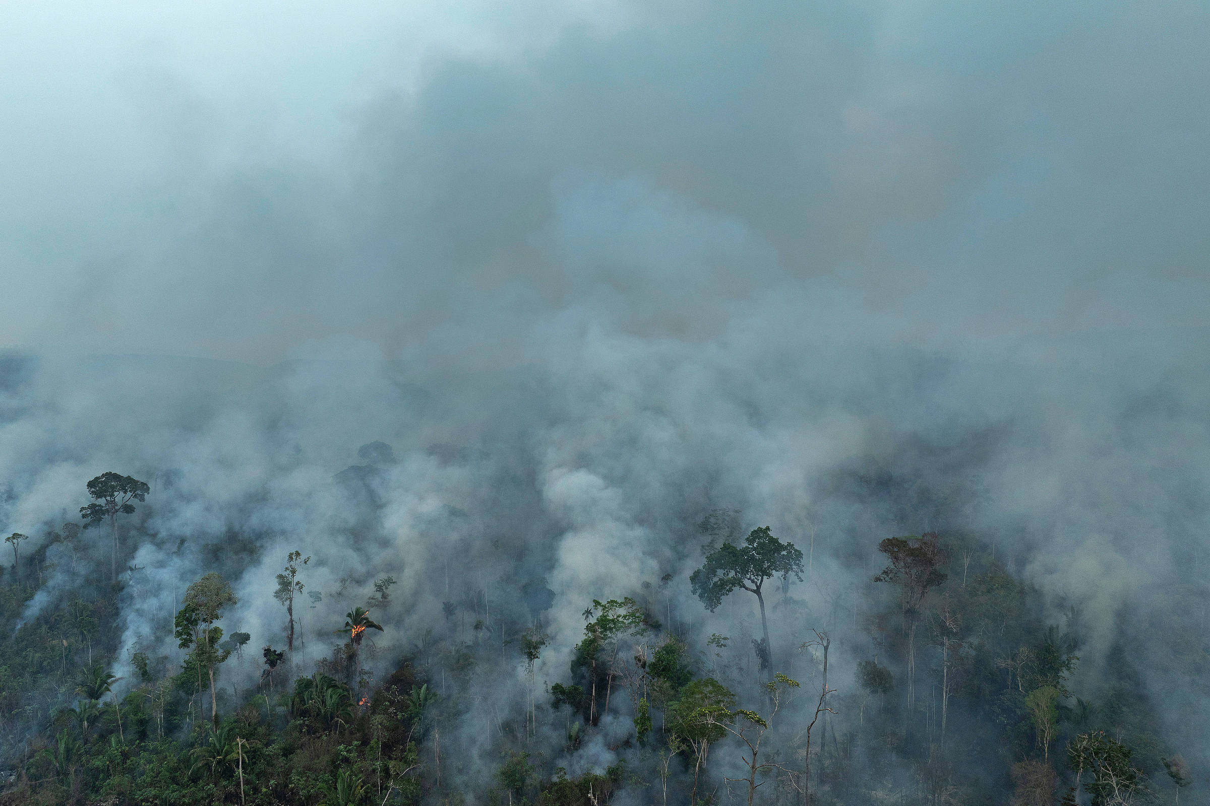 Fogo em pantanal e amazônia dispara emissões do Brasil – 22/09/2024 – Ambiente