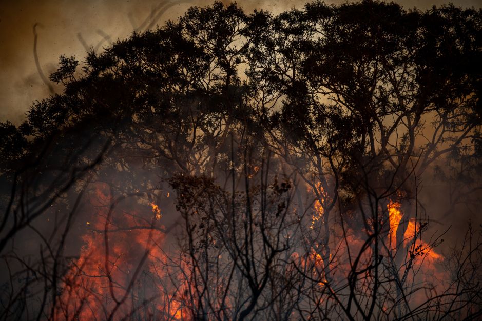 Carlos Nobre à CNN: Processo de aumento de secas e onda de calor se acelera com temperaturas recordes