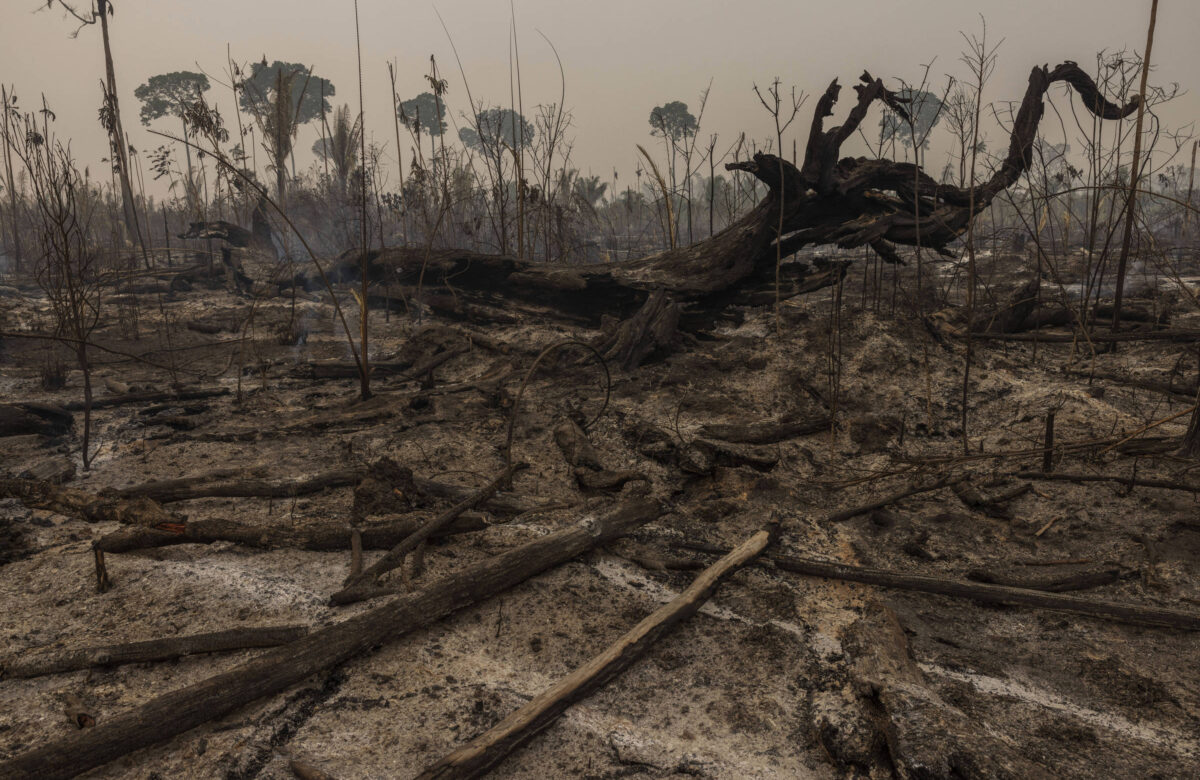 Governo estuda MP contra grilagem de terras incendiadas – 20/09/2024 – Ambiente