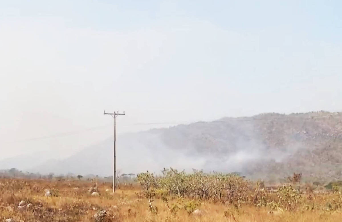 A imagem mostra uma área de vegetação seca com fumaça visível ao fundo, indicando uma queimada. Há um poste de eletricidade à esquerda e uma colina ao fundo, onde a fumaça se dispersa no ar. O céu está claro, mas a presença da fumaça sinaliza um incêndio nas proximidades.