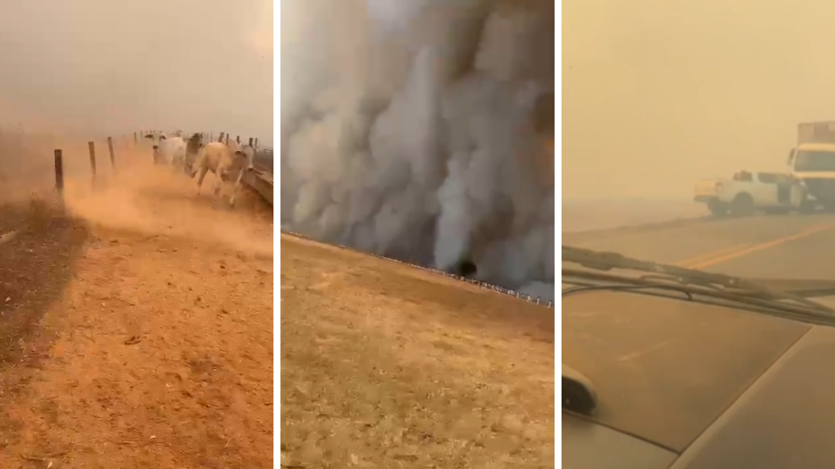 Incêndios causam destruição e desespero em Goiás; vídeos