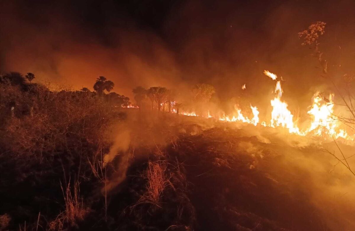 Incêndios na região da Chapada dos Veadeiros já destruíram o equivalente a 10 mil campos de futebol