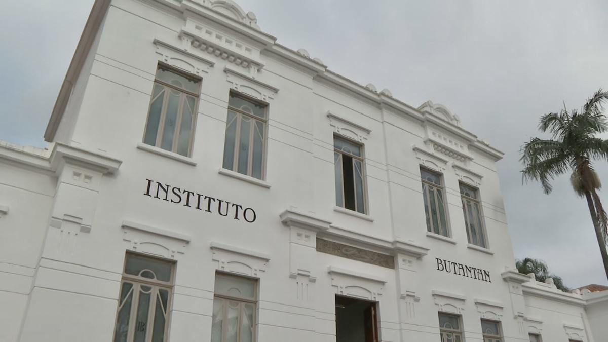 Instituto Butantan começa a desenvolver vacina contra gripe aviária | São Paulo