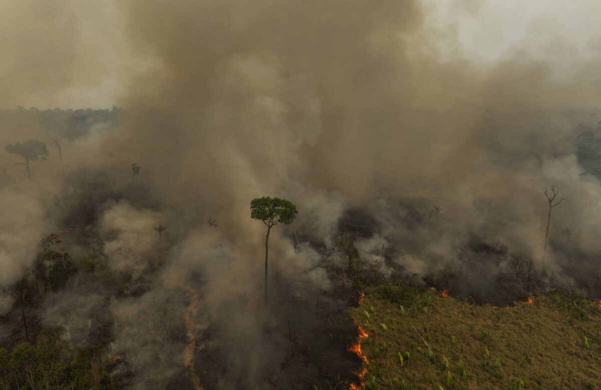 Lula assina MP com crédito extraordinário de R$ 514 mil para combate a queimadas na Amazônia - 19/09/2024 - Ambiente