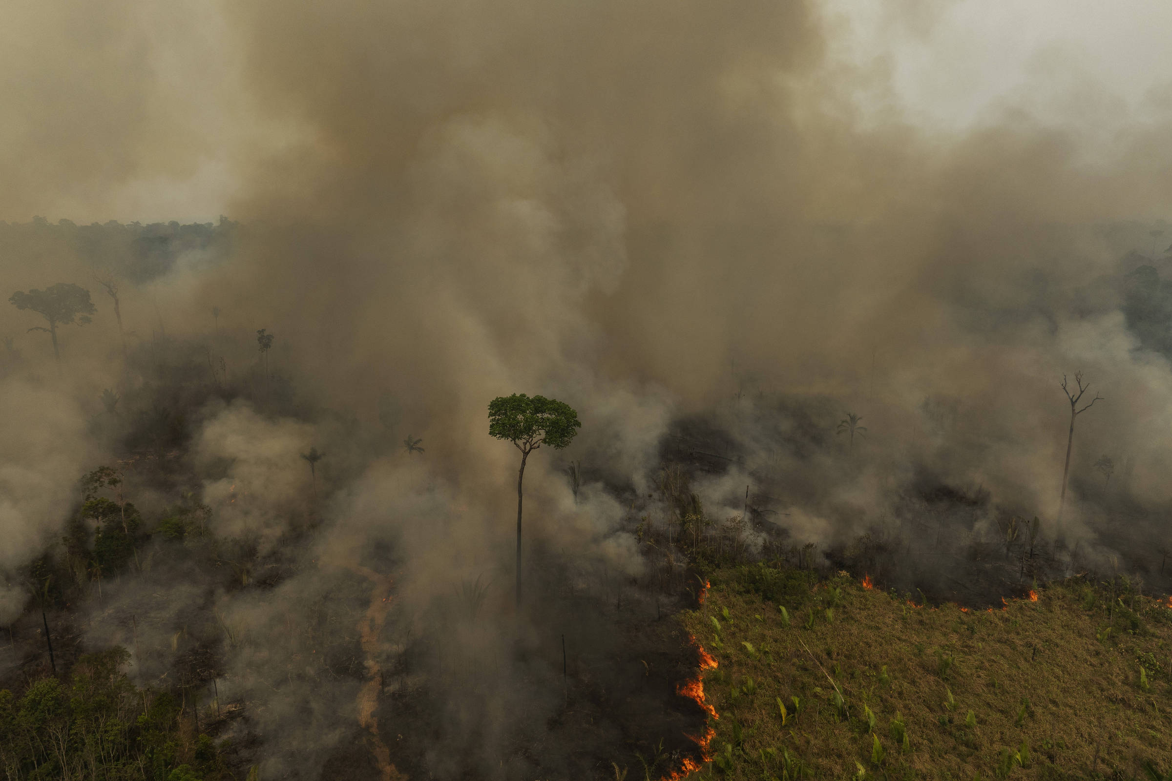 Lula assina MP com crédito extraordinário de R$ 514 mil para combate a queimadas na Amazônia – 19/09/2024 – Ambiente