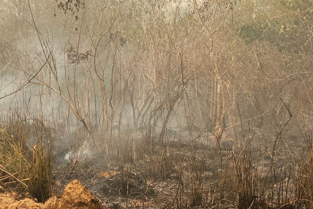 “MP precisa intervir em queimadas na Amazônia“, afirma pesquisador à CNN