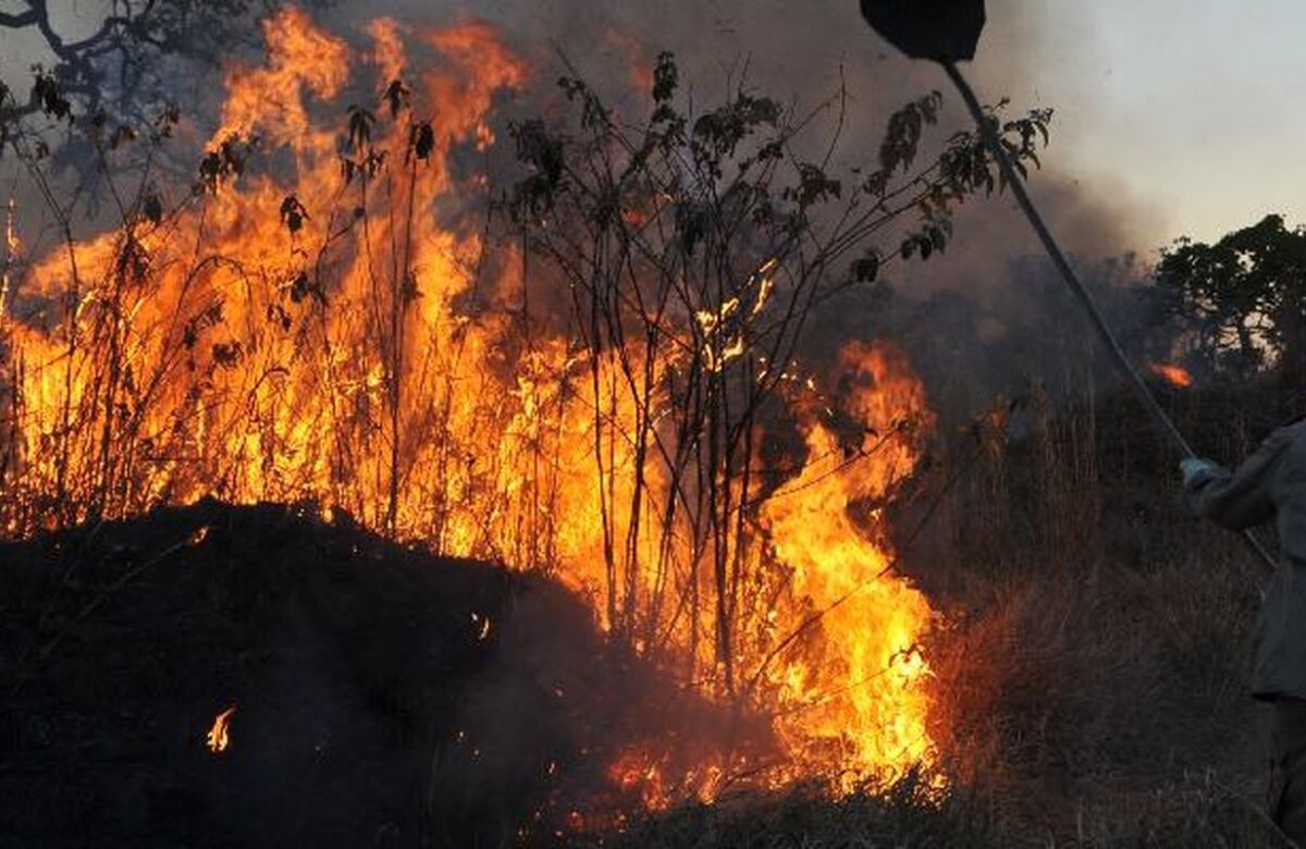 MPF aciona justiça para contratação de brigadistas contra incêndios