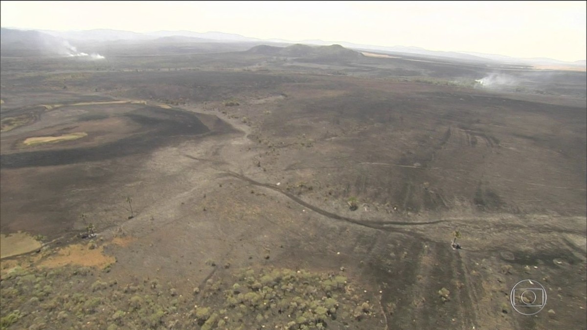 MPF apura causas de incêndio que destrói Parque Nacional da Chapada dos Veadeiros | Goiás