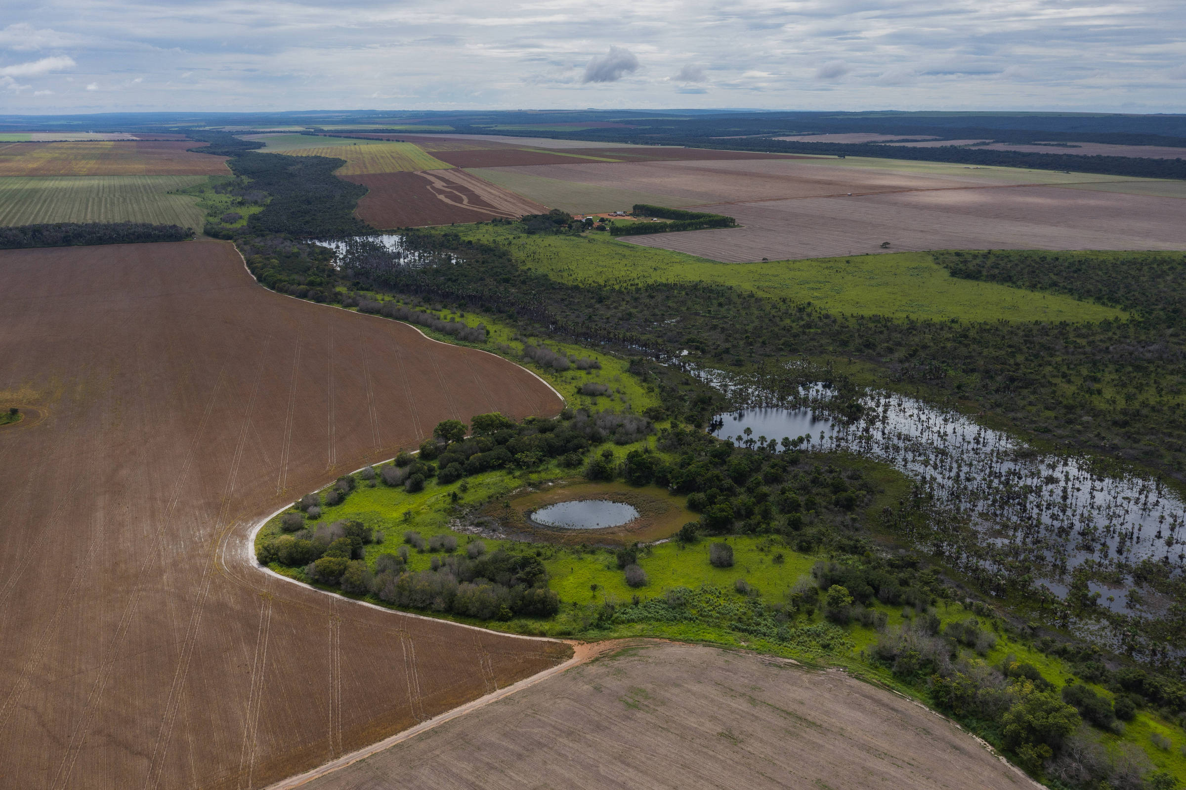 MT libera atividades pecuárias em áreas de preservação – 21/09/2024 – Ambiente