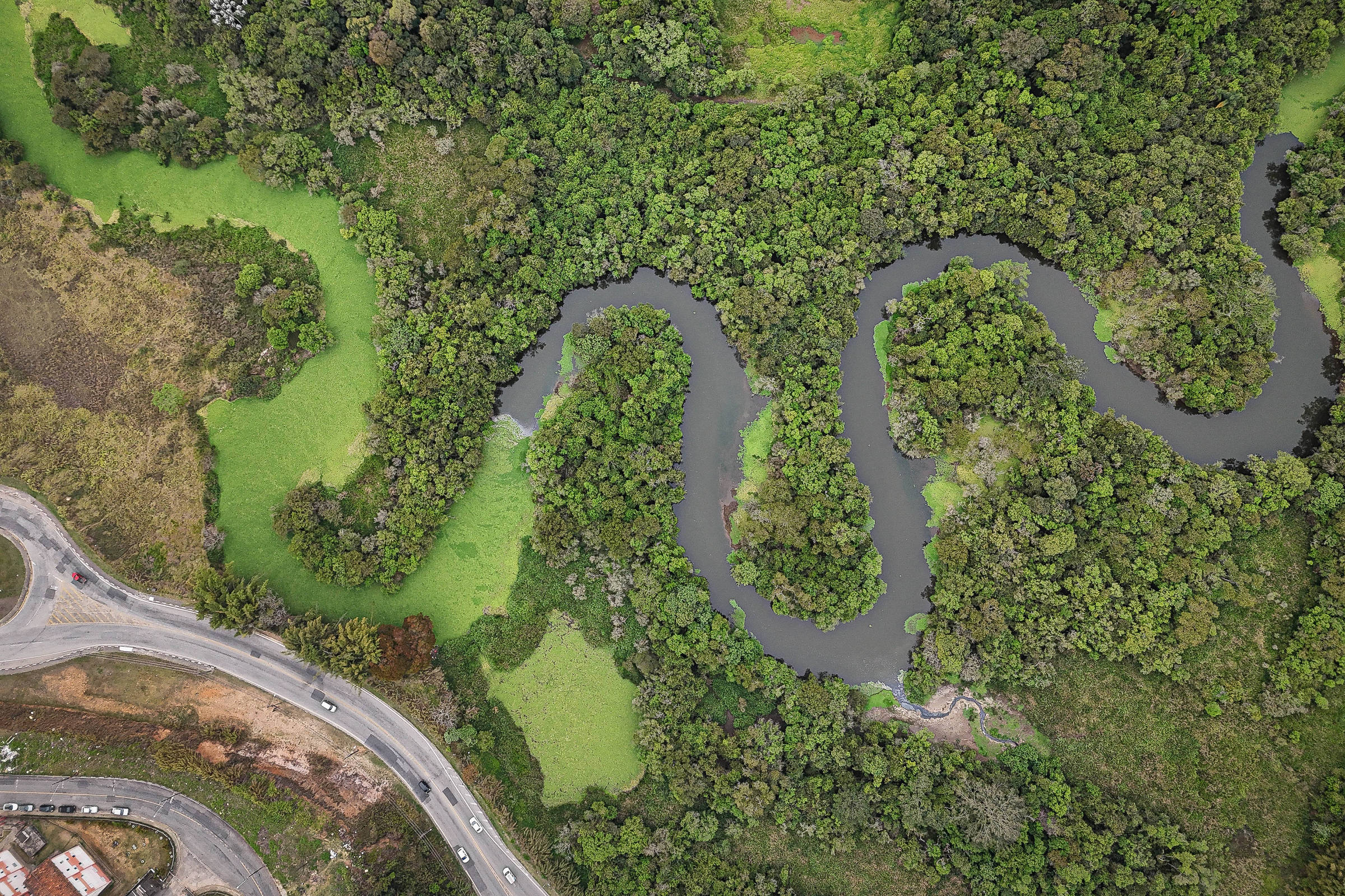 Mancha de poluição no rio Tietê cresce 29% em um ano – 19/09/2024 – Ambiente