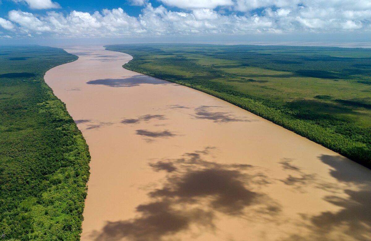 Manguezais, corais e terras indígenas: conheça litoral no centro da discussão sobre a exploração de petróleo pela Petrobras no Rio Amazonas