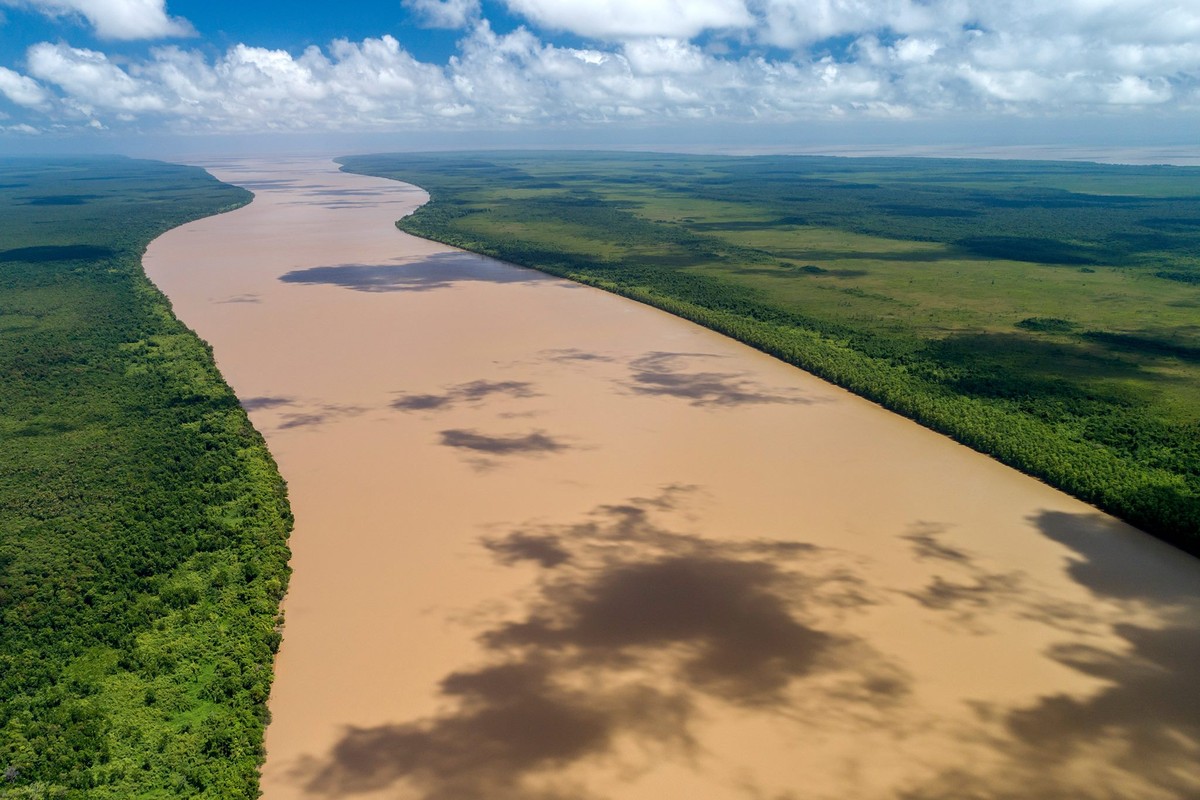 Manguezais, corais e terras indígenas: conheça litoral no centro da discussão sobre a exploração de petróleo pela Petrobras no Rio Amazonas