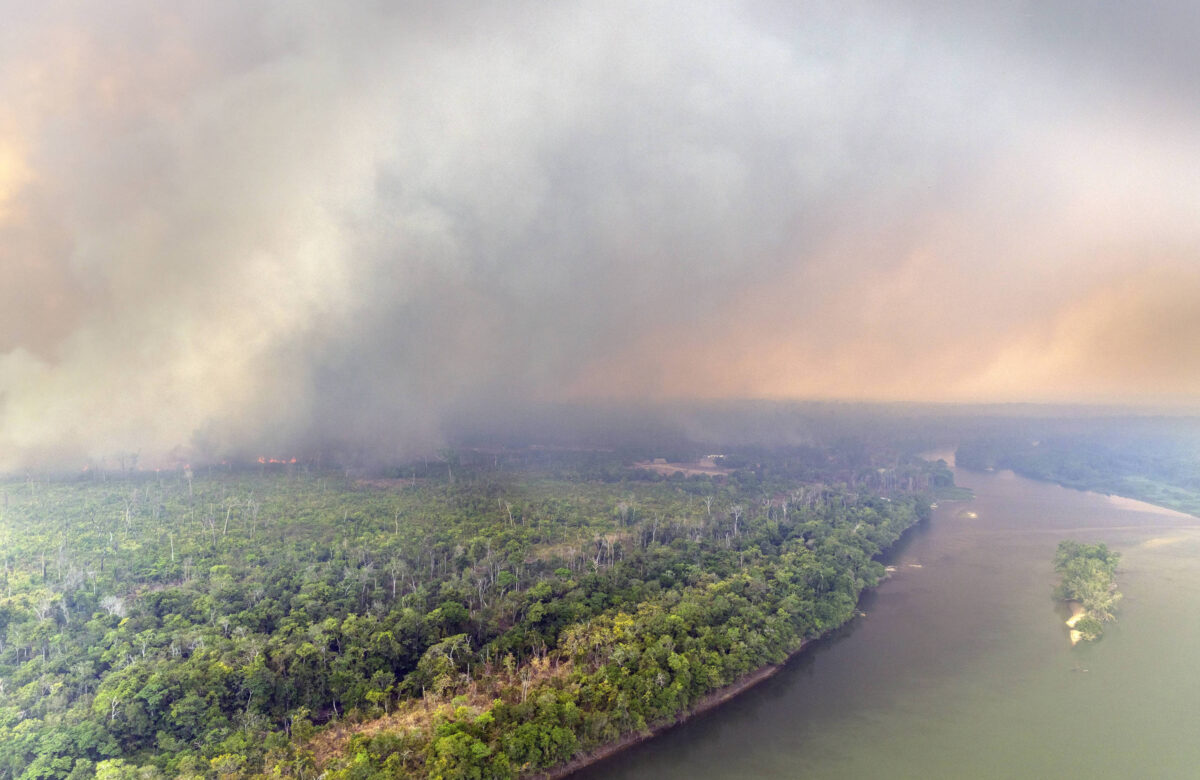 Megaincêndios na amazônia aceleram chance de colapso - 18/09/2024 - Ambiente