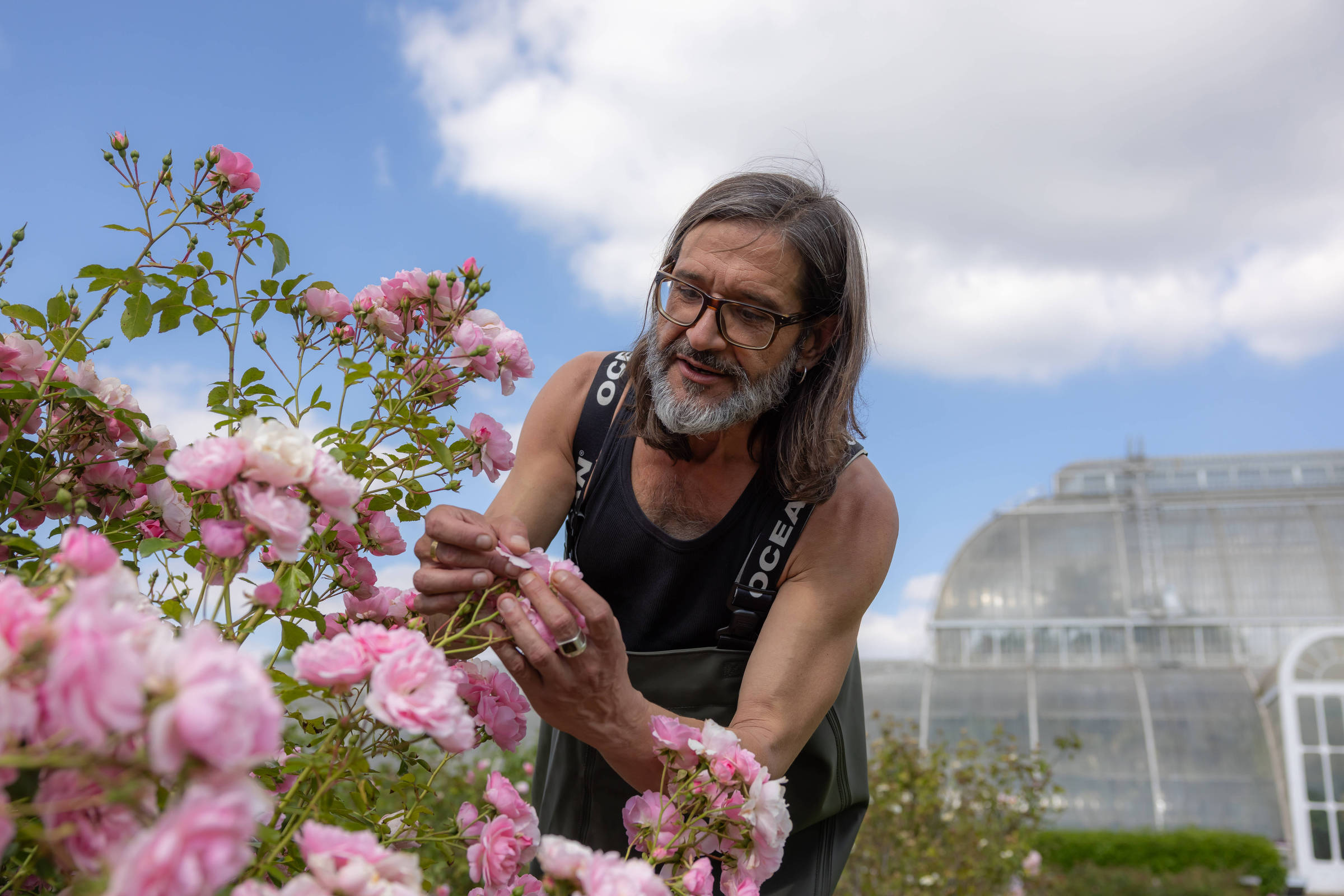 ‘Messias das plantas’ salva espécies raras da extinção – 15/09/2024 – Ambiente