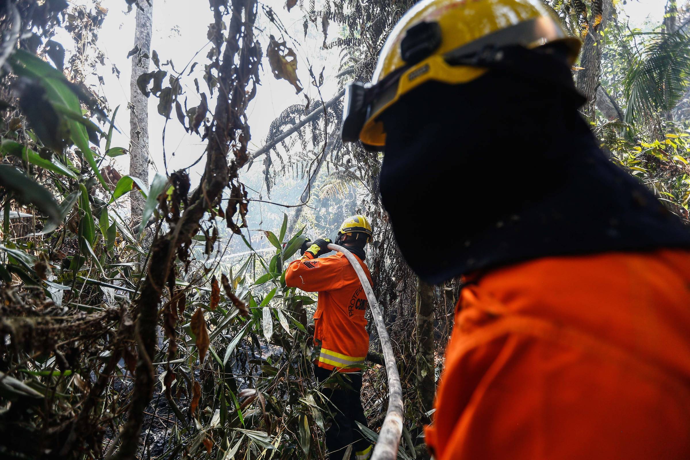 PMDF prende suspeito de atear fogo perto de Mata Ecológica – 23/09/2024 – Brasília Hoje