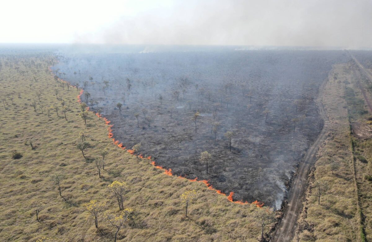 Área queimada após incêndio que se iniciou em manutenção de ferrovia em Corumbá (MS). Empresas responsáveis foram multadas em mais de R$ 100 milhões