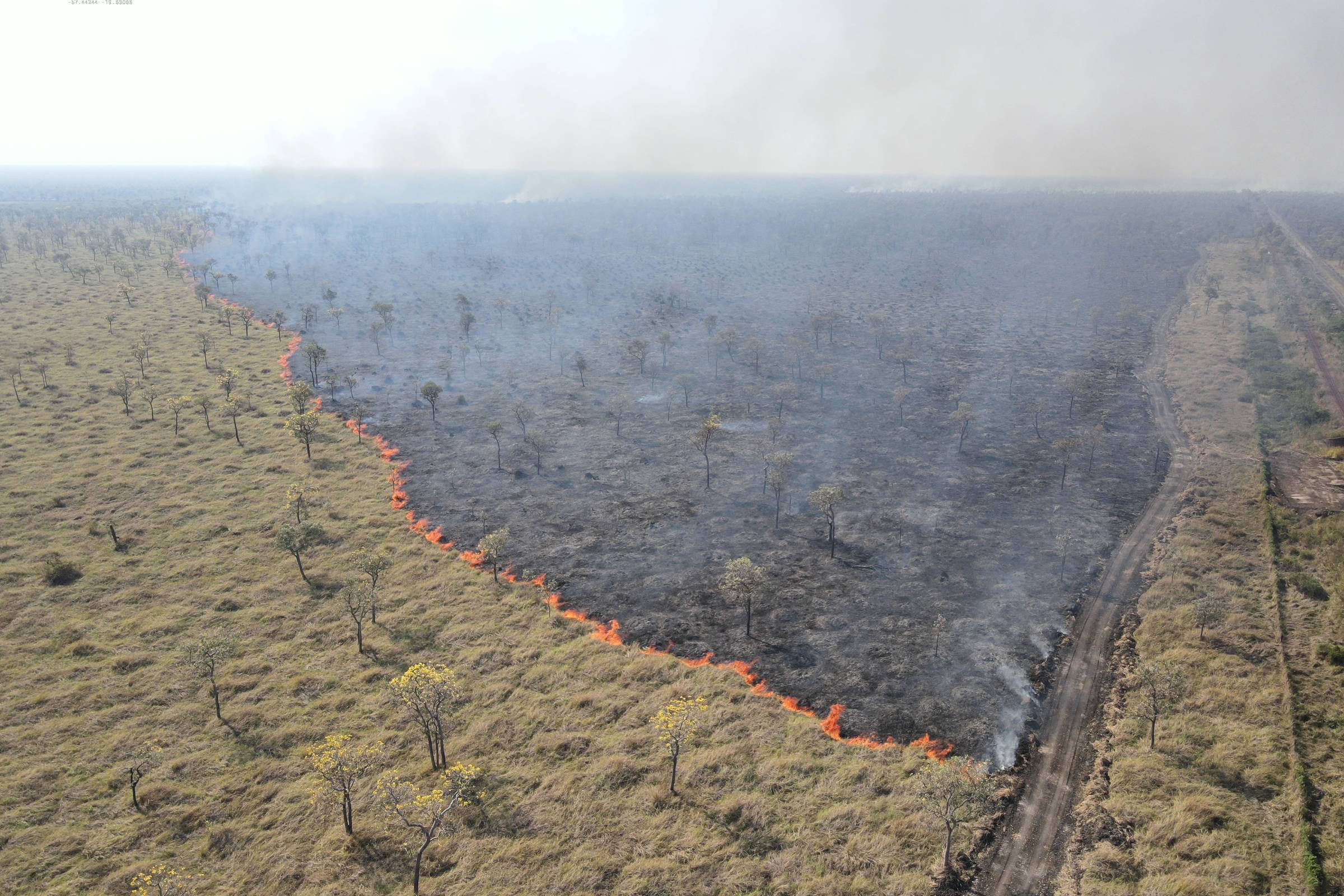 Pantanal: Ferrovia que causou incêndio acumula multas – 28/09/2024 – Ambiente