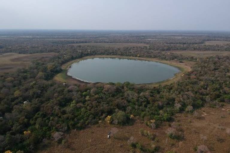 Pantanal: lagoas de soda contribuem para mudança do clima – 15/09/2024 – Ambiente