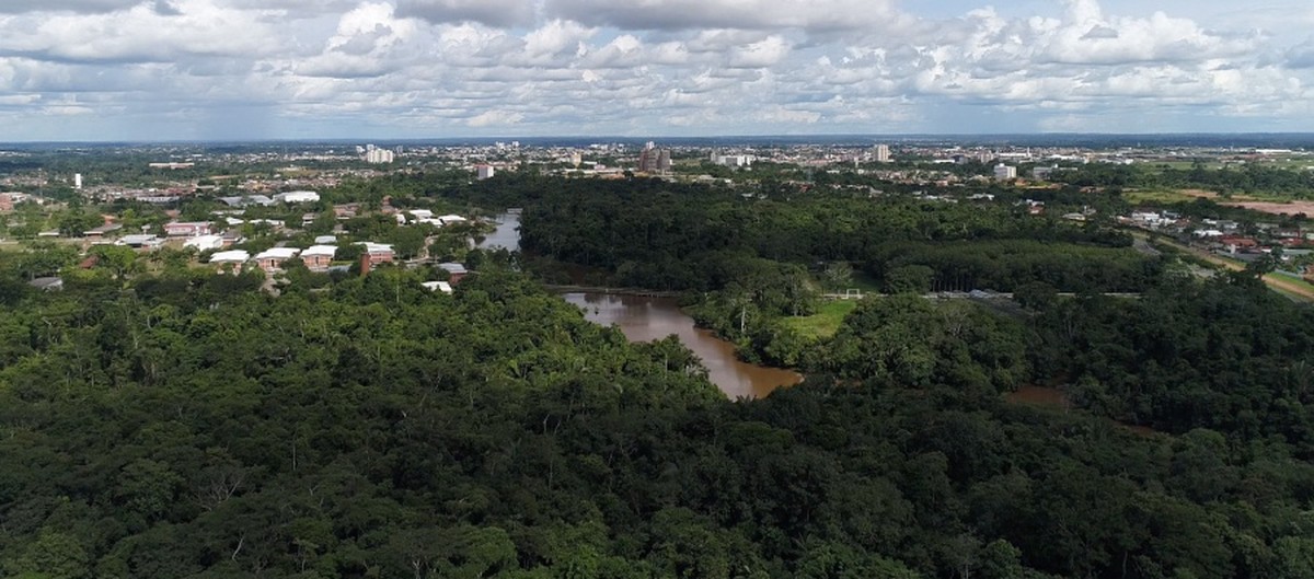 Para comemorar 40 anos do Parque Zoobotânico da Ufac, livro vai reunir depoimentos de envolvidos no início do projeto | Amazônia