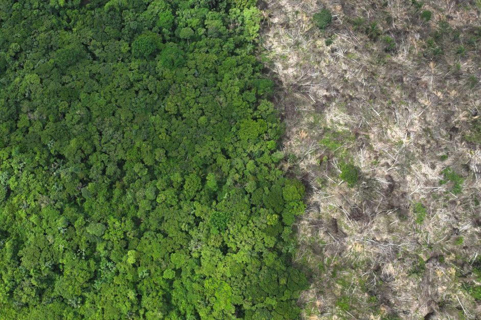 Pesquisador explica risco de “nova pandemia” em caso de abertura de reservatório do Amazonas