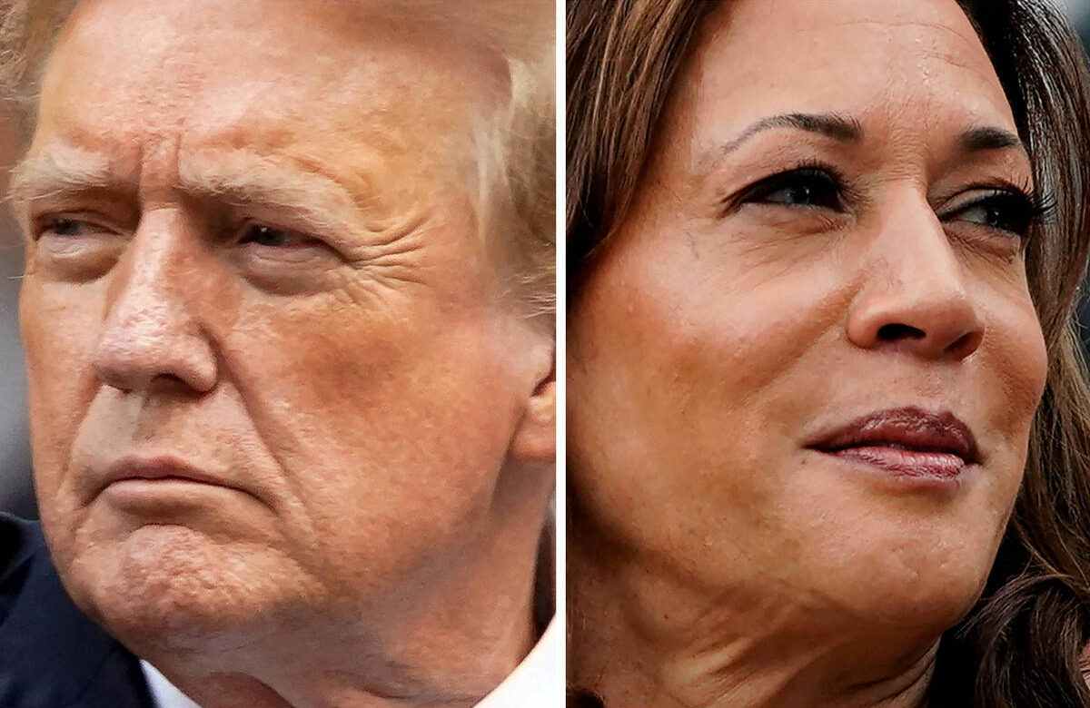 Fotomontagem tem foto de perfil de Trump do lado esquerdo e de Kamala Harris do lado direito; eles olham em sentidos opostos